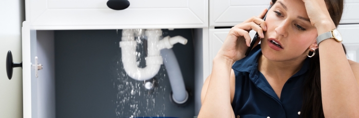 Why You Shouldn’t Ignore Small Leaks_ Expert Plumbing Advice